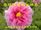 Published on 2/7/2016 ���ֹ�,��½�󷨵��ӹ�ףʦ������(27��)
