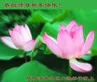 ֹ,󷨵ӹףʦ(22)
