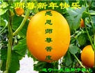 Published on 12/31/2015 ���ֹ�,��½�󷨵��ӹ�ףʦ���������(32��)
