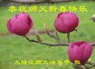 ֹ,󷨵ӹףʦ(21)
