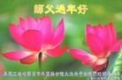 Published on 2/7/2016 ���ֹ�,��½�󷨵��ӹ�ףʦ������(35��)
