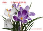 ֹ,󷨵ӹףʦ(20)
