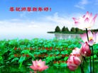 ֹ,󷨵ӹףʦ(21)
