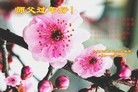 ֹ,󷨵ӹףʦ(20)

