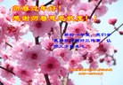 ֹ,󷨵ӹףʦ(20)
