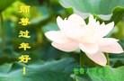 ֹ,󷨵ӹףʦ(19)
