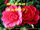 ֹ,󷨵ӹףʦ(20)
