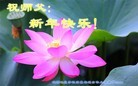 ֹ,󷨵ӹףʦ(20)
