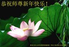 Published on 12/31/2015 ���ֹ�,��½�󷨵��ӹ�ףʦ���������(32��)
