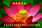 Published on 2/6/2016 ���ֹ�,��½�󷨵��ӹ�ףʦ���������(27��)
