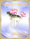 ֹ,մ󷨵ӹףʦ(24)
