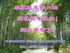 Published on 12/31/2015 ���ֹ�,��½�󷨵��ӹ�ףʦ���������(30��)
