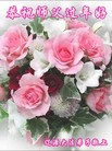 ֹ,ʡ󷨵ӹףʦ(20)
