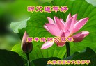 Published on 12/31/2015 ���ֹ�,��½�󷨵��ӹ�ףʦ���������(30��)

