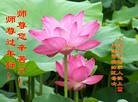 ֹ,󷨵ӹףʦ(25)
