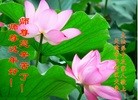 ֹ,󷨵ӹףʦ(25)
