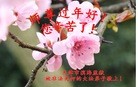 ֹ,󷨵ӹףʦ(25)
