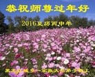ֹ,󷨵ӹףʦ(21)
