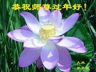 ֹ,󷨵ӹףʦ(19)
