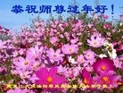 Published on 2/9/2016 ���ֹ�,����ҵ�󷨵��ӹ�ףʦ�������(35��)
