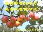 ֹ,󷨵ӹףʦ(19)
