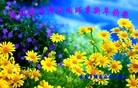 ֹ,󷨵ӹףʦ(21)
