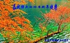 ֹ,󷨵ӹףʦ(21)
