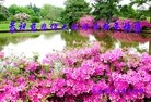 ֹ,󷨵ӹףʦ(21)
