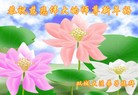 法轮功,哈尔滨大法弟子恭祝师尊新年好(24条)
