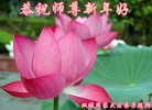 ֹ,󷨵ӹףʦ(18)
