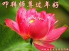 ֹ,󷨵ӹףʦ(18)
