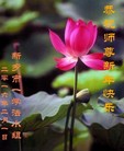 ֹ,ϴ󷨵ӹףʦ(29)
