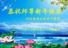 法轮功,河北大法弟子恭祝师尊新年好(21条)
