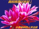 ֹ,󷨵ӹףʦ(19)
