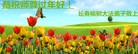 ֹ,󷨵ӹףʦ(19)
