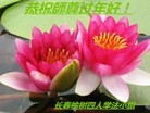 ֹ,󷨵ӹףʦ(19)
