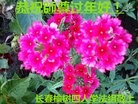ֹ,󷨵ӹףʦ(19)
