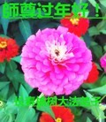ֹ,󷨵ӹףʦ(19)
