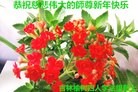 ֹ,󷨵ӹףʦ(19)
