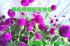 ֹ,󷨵ӹףʦ(19)
