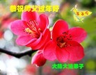 Published on 1/1/2016 ���ֹ�,��½�󷨵��ӹ�ףʦ���������(28��)
