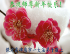 法轮功,保定大法弟子恭祝师尊新年好(26条)

