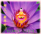 法轮功,保定大法弟子恭祝师尊新年好(26条)
