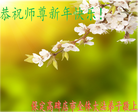 法轮功,保定大法弟子恭祝师尊新年好(26条)
