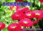 法轮功,山西大法弟子恭祝师尊过年好(21条)
