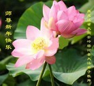 Published on 12/31/2015 ���ֹ�,��½�󷨵��ӹ�ףʦ���������(26��)
