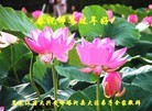 ֹ,󷨵ӹףʦ(21)
