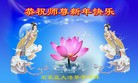 法轮功,石家庄大法弟子恭祝师尊新年好(26条)
