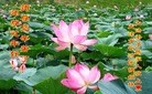 ֹ,󷨵ӹףʦ(25)
