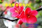 ֹ,󷨵ӹףʦ(21)
